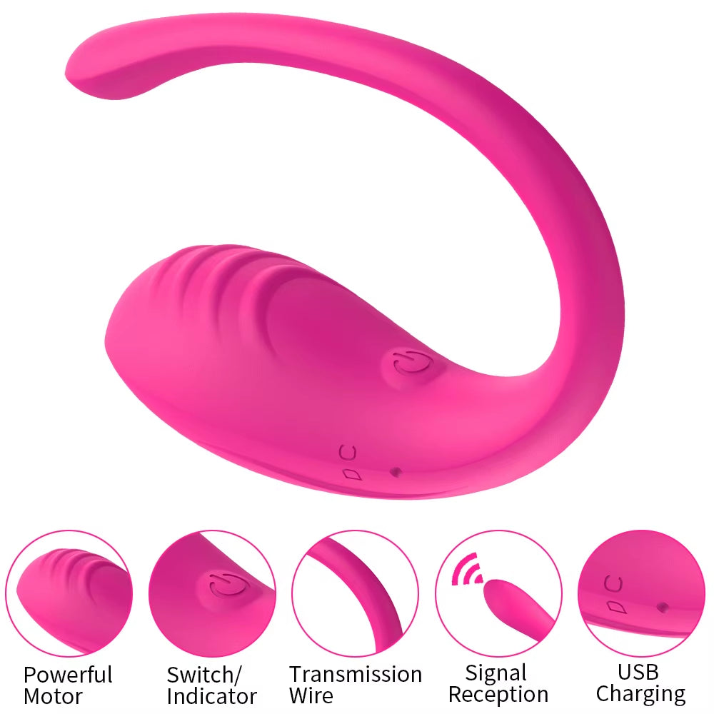 APP-Controlled Vibrator 